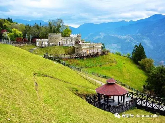 春节花市的鲜花,春节能看花的植物