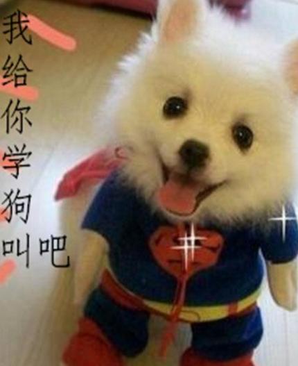 学狗叫套路怎么回答,我给你学狗叫吧原视频