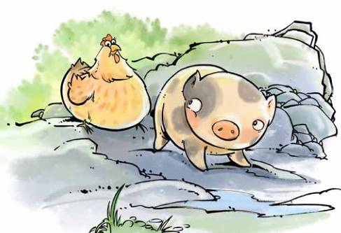 那只小母鸡，你收敛点！是你本命年也不能太过分！