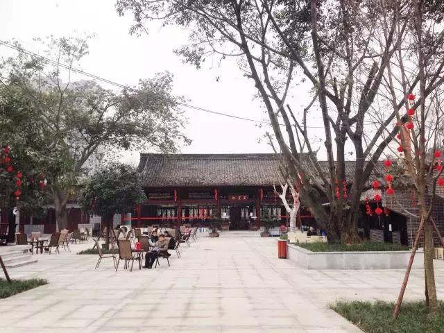 鑺辨捣閲嶇鏉ヨ,鑺辨捣鏉ヨ