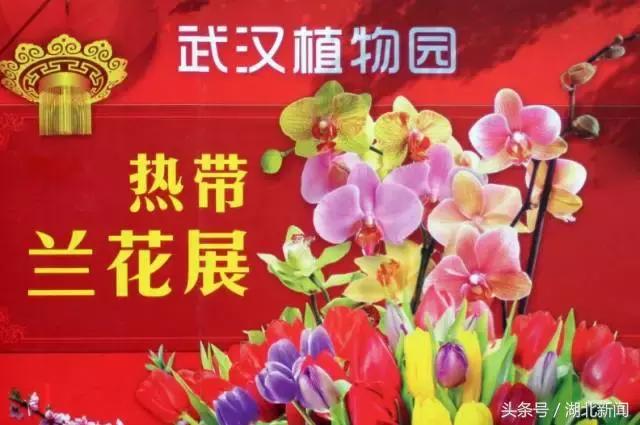 湖北元宵节游玩攻略,元宵节可以去哪些地方游玩