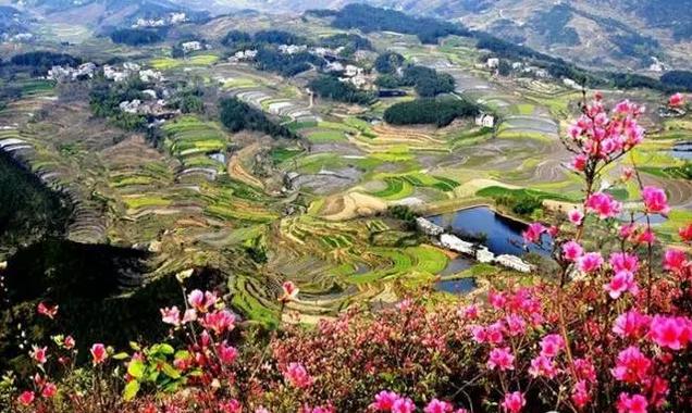 春风里，大爱罗田！