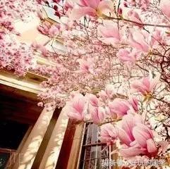 适合表达爱情的宋词大全,情人节最顶尖最煽情的古诗词