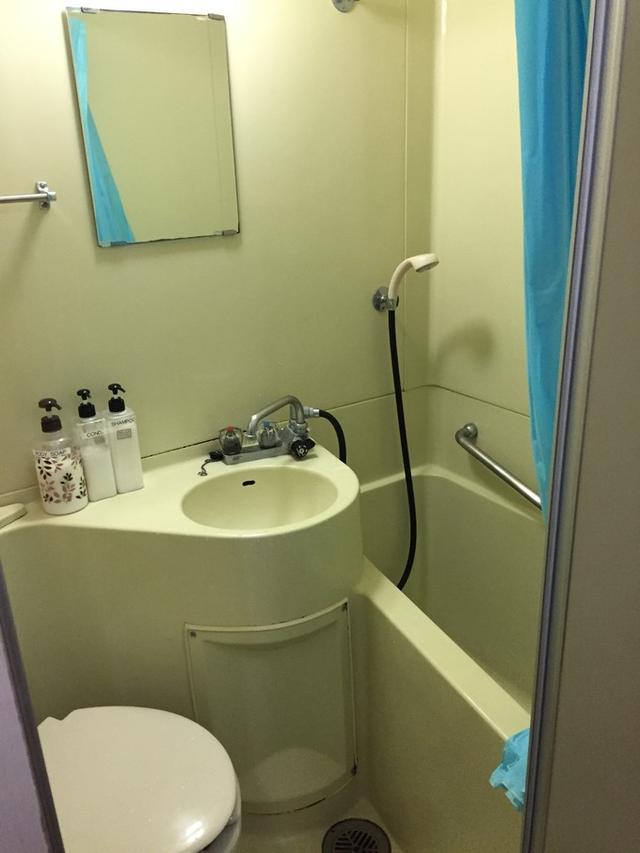 日本dokkan植物酵素老爸评测 (春节日本15天自由行)