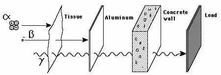 这种物质曾被当作保健成分,受害者的遗骨因此发光上千年