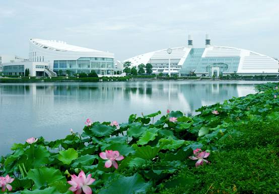 120岁生日倒计百天！爱浙大有120个理由，也许1个已足够！