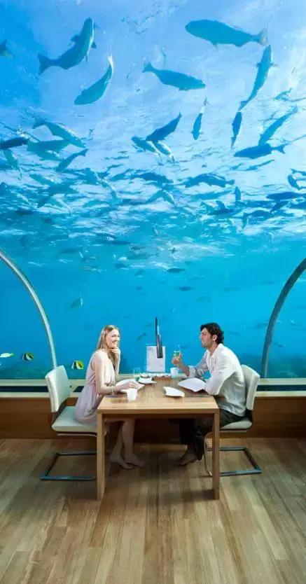 情人节去哪里吃最浪漫,情人节在哪里吃饭最合适