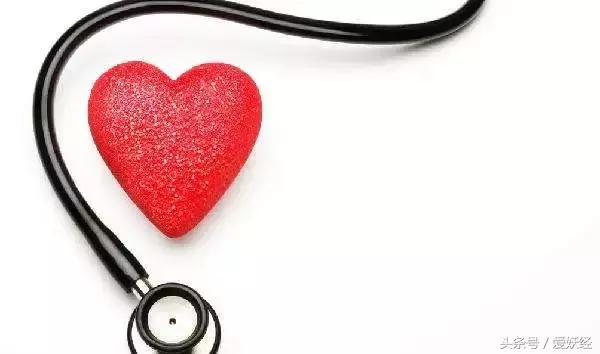 顽皮家族宠物医院怎么样,顽皮家族宠物医院属于什么组织