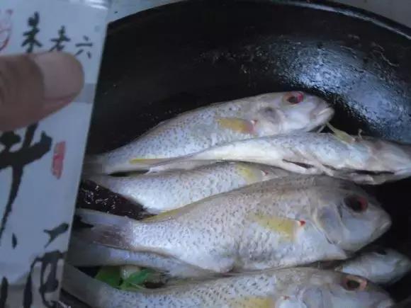 海边渔民怎么炖鱼,哪种海鱼炖鱼最好吃