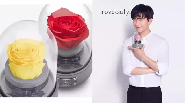 全智贤和杨颖,全智贤angelababy