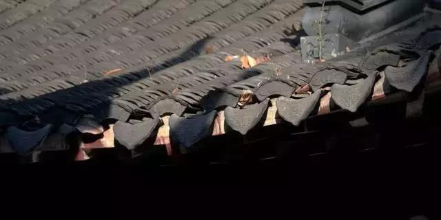 中国书法的精髓是什么,关于中国书法的讲解