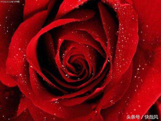 日本魔女用甜美声波“*伤杀**”无数士兵:战后美国饶了天皇却不饶她