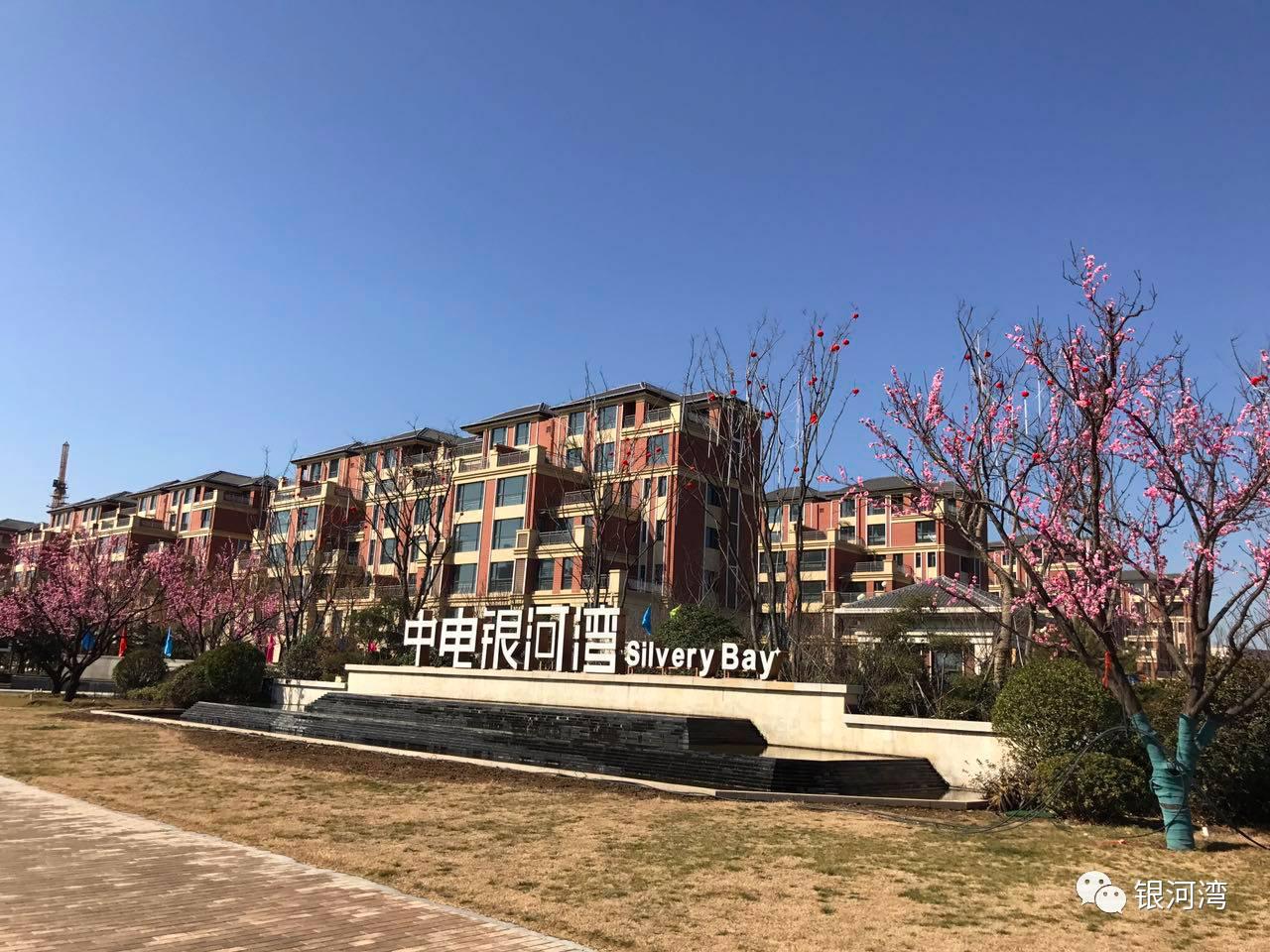 科技与浪漫的碰撞,浪漫与科技