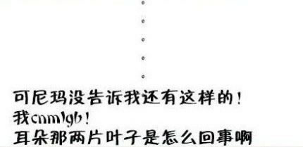 淘宝衣服卖家秀与买家秀,买家秀与卖家秀的差别不是一般大