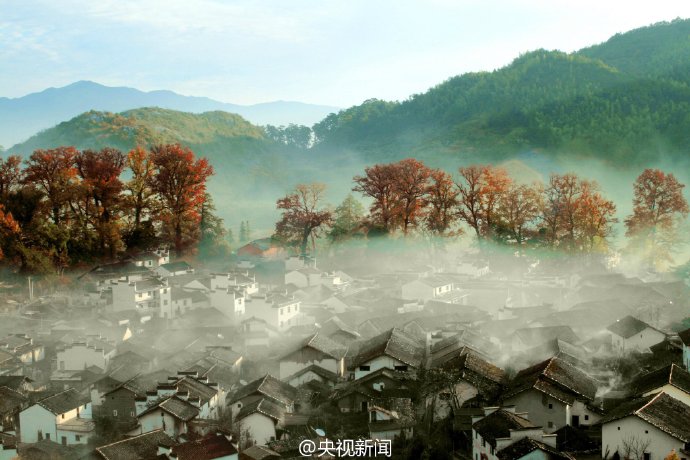 散丸膏丹的区别,丸散膏丹