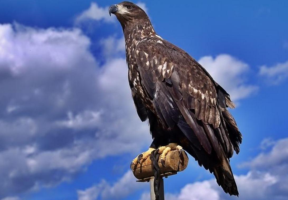 小说传奇故事2012全文阅读,中篇传奇故事