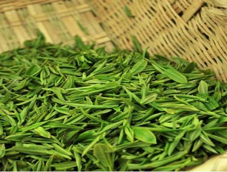 帮你冲走过年吃的所有罪恶感，快看过来