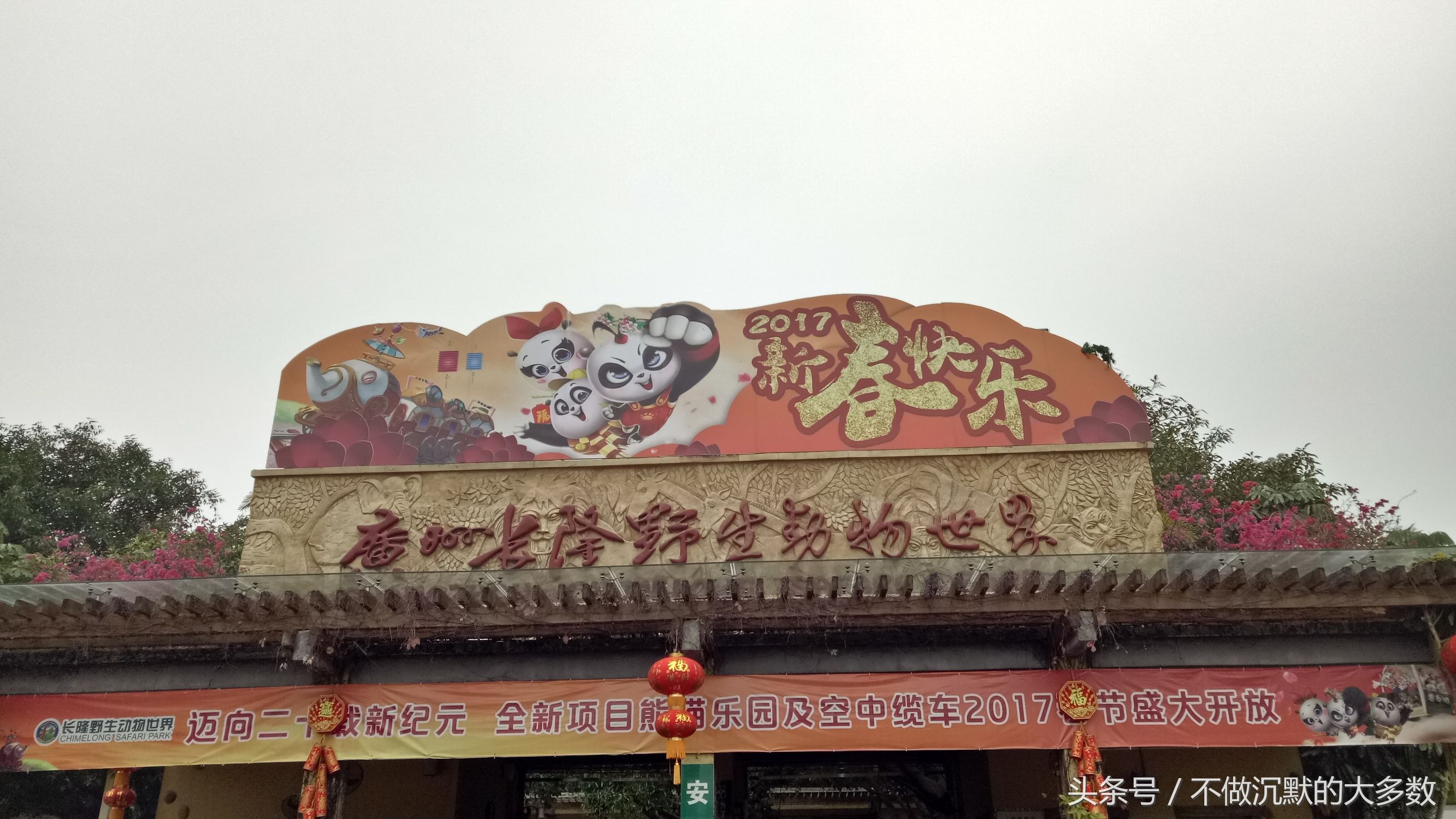 长隆野生动物园金蛇秘境有毒蛇吗,长隆野生动物园金蛇秘境怎么走