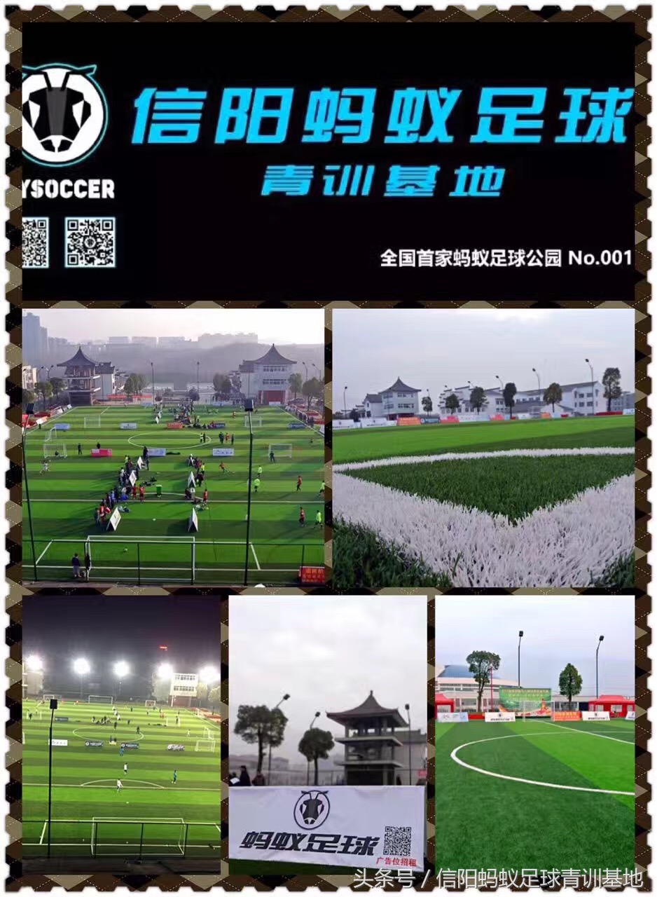青少年专业足球培训营,信阳蚂蚁足球俱乐部青训班