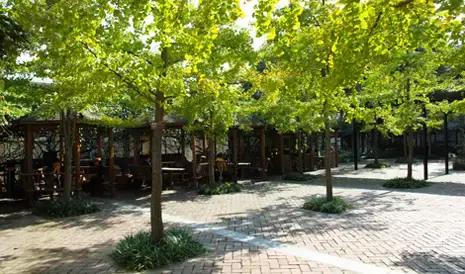 有所大学，叫标榜！逆天颜值碾压成都各大高校！