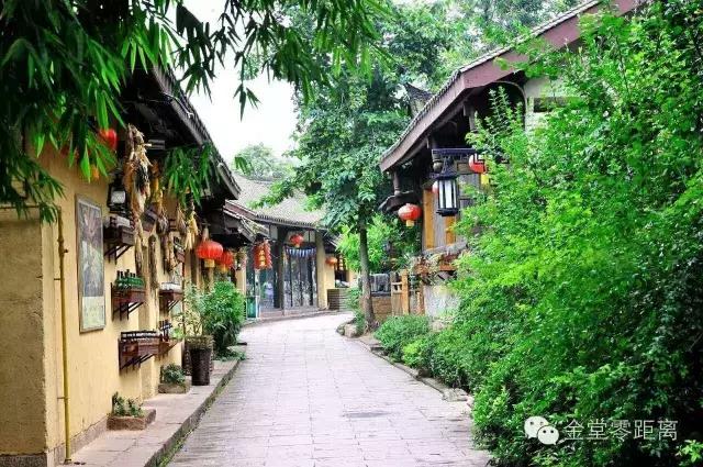 虐狗秀恩爱名场面,虐狗秀恩爱高甜视频