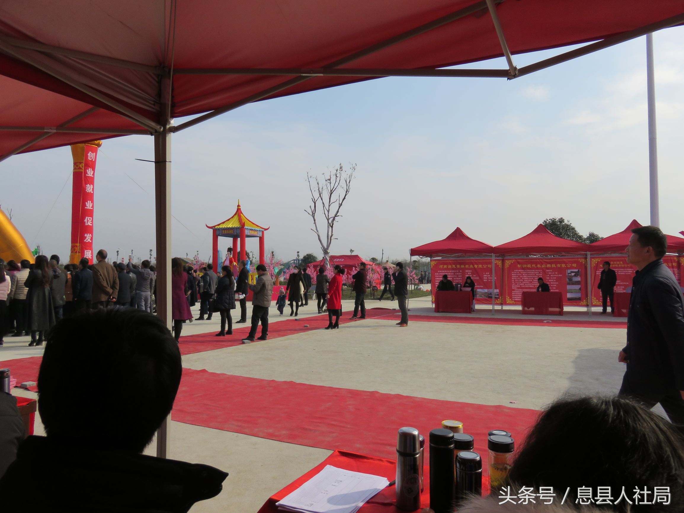 河南新蔡春风行动,信阳市春风行动