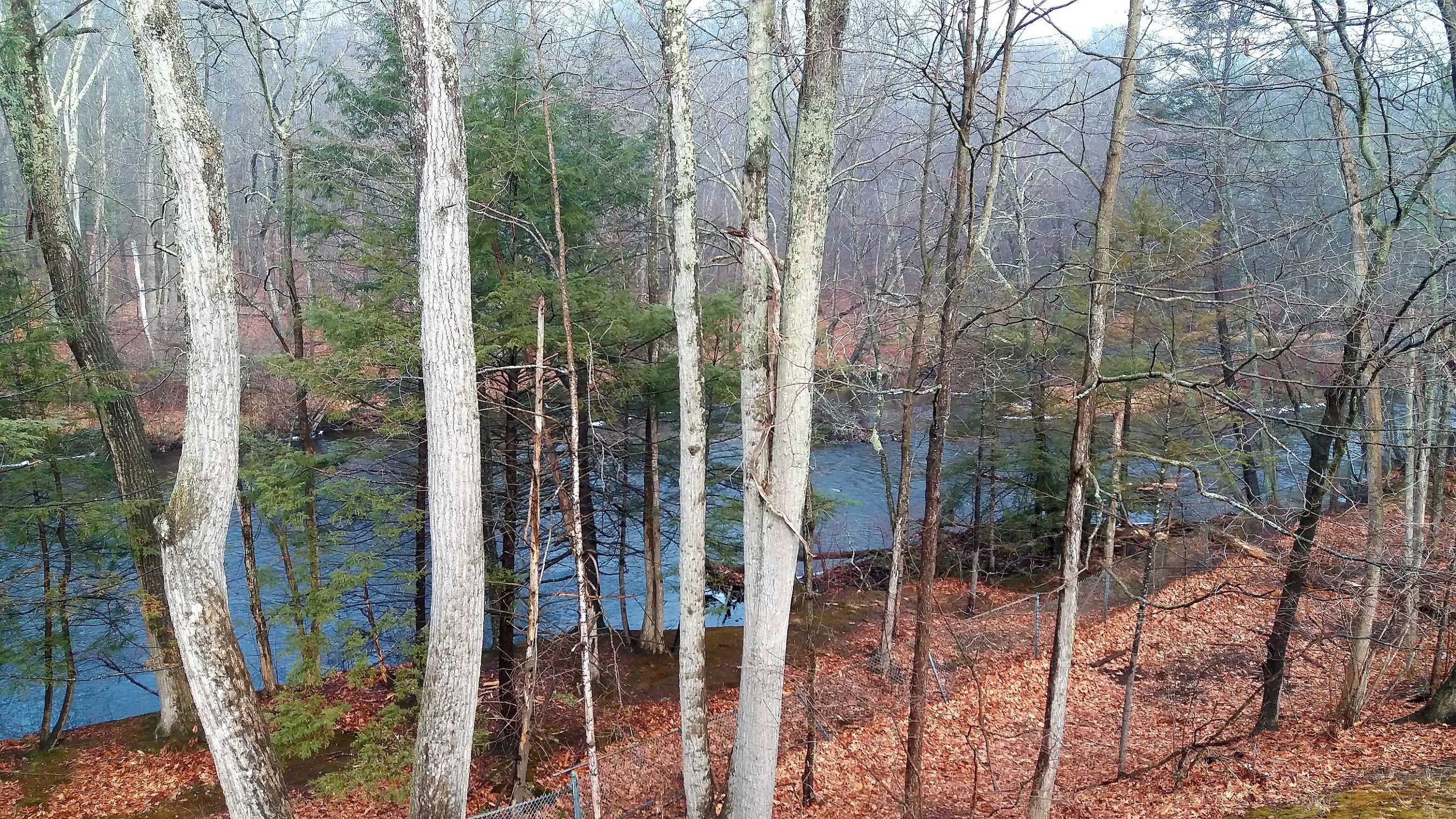 印象·美国东海岸(上)