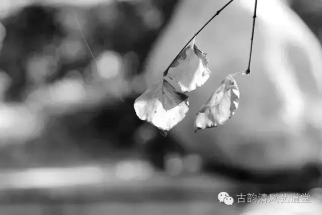 静在自然中,静悟人生真谛