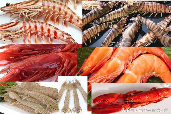 这164种海鲜，你吃过几种？