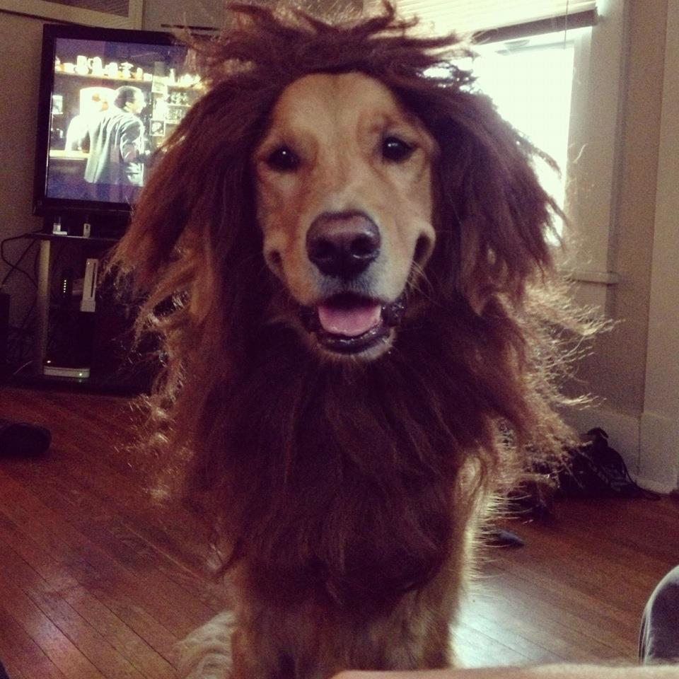 情人节，我们为热爱科技的你准备了一个剁手清单！