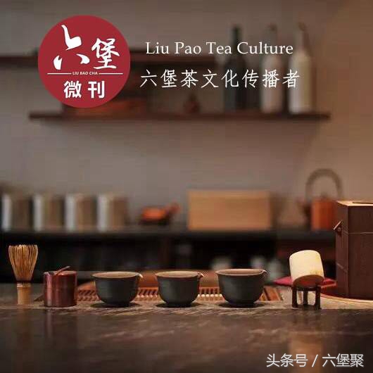 三鹤六堡茶槟榔香评测,三鹤六堡茶槟榔香砖2022品鉴评测