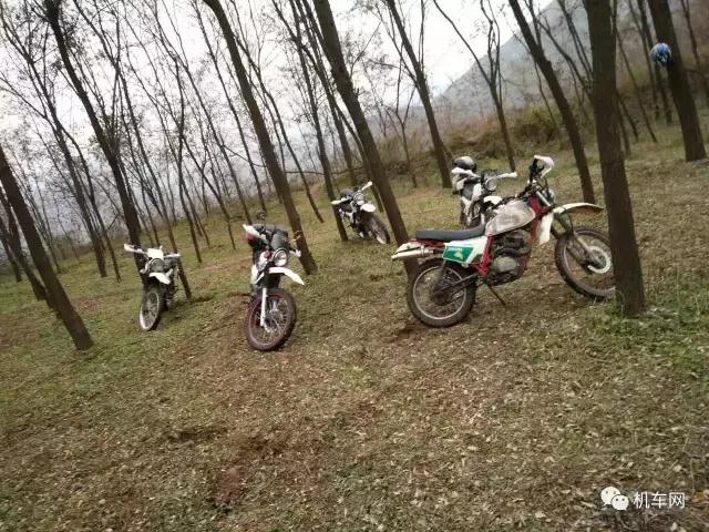 车友风采，中毒了，不骑不行，心痒难耐