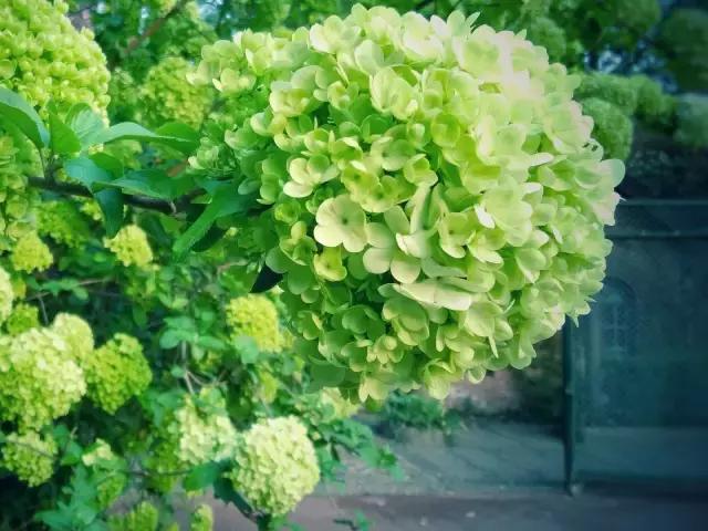 有所大学，叫标榜！逆天颜值碾压成都各大高校！