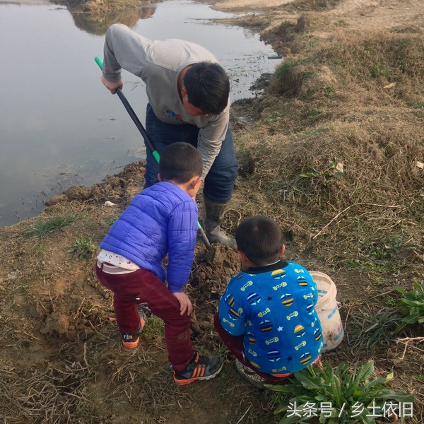 农村小伙河边挖这个,一斤好几百,也许是个致富项目