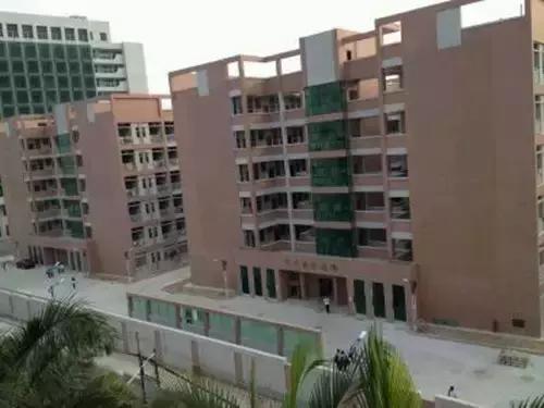 团团带你逛校园系列,团团带大家观校园