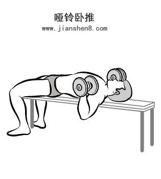 17岁高中生暑假哑铃健身计划,哑铃练全身30天新手训练计划