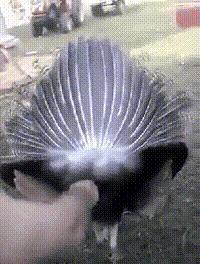 网吧偶遇飞车高手,在网吧遇到了一个游戏大神