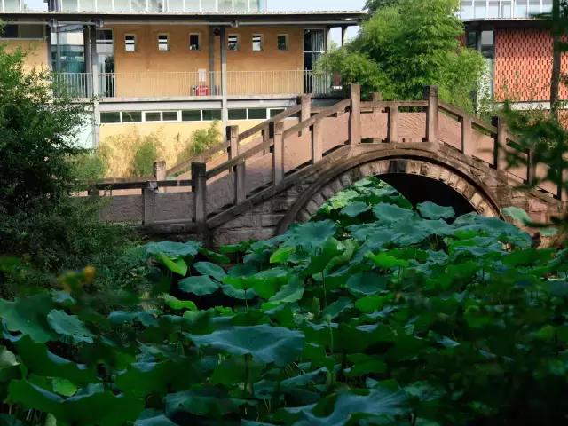 有所大学，叫标榜！逆天颜值碾压成都各大高校！