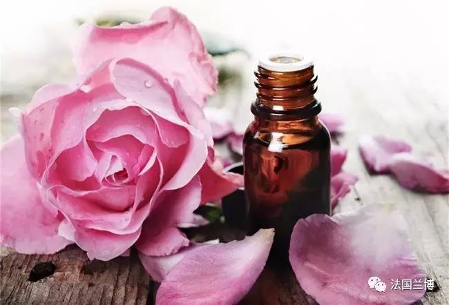 香水冷知识世界上第一款娇兰香水,这些香水冷知识你都知道吗