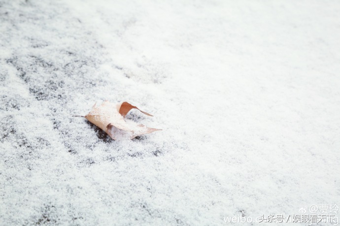 王源雪照,银装素裹王源完整版