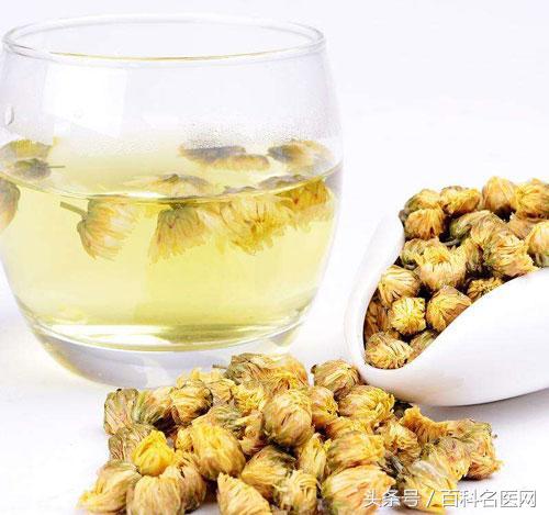 喝菊花茶有什么禁忌,喝菊花茶之后有什么禁忌