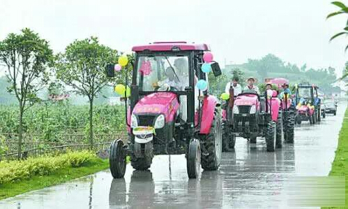 农村最有特色的接亲车队,城里人真会玩迎亲视频