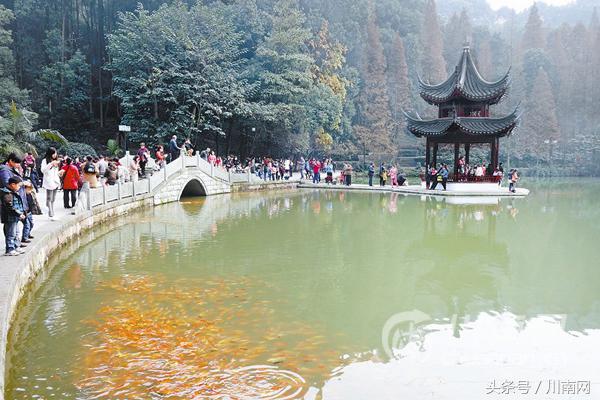 泸州古诗词大会,诗词大会冷门诗词