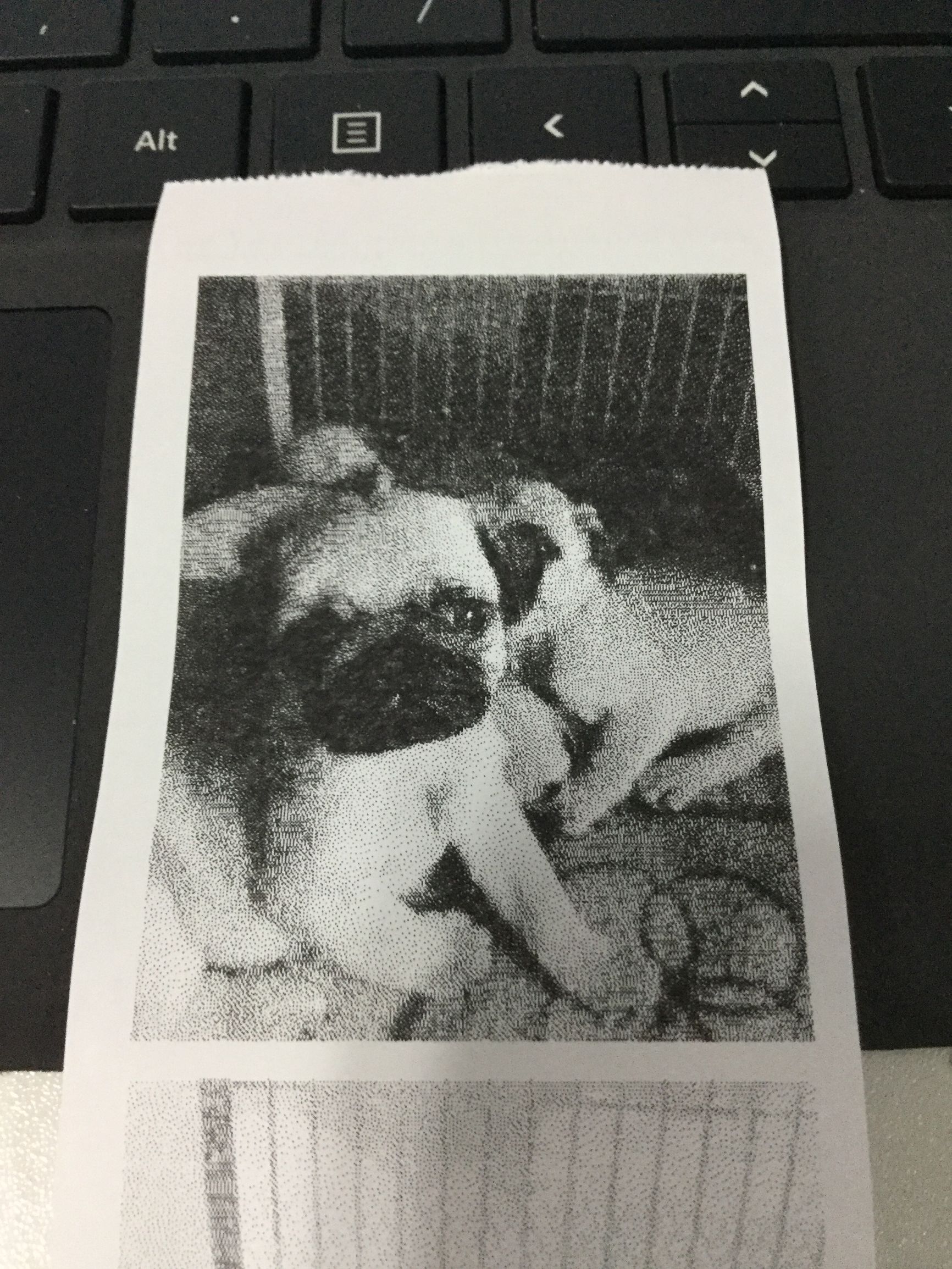 喵喵机使用感受,喵喵机有什么有趣的用法