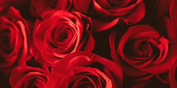 情人节，我们为热爱科技的你准备了一个剁手清单！