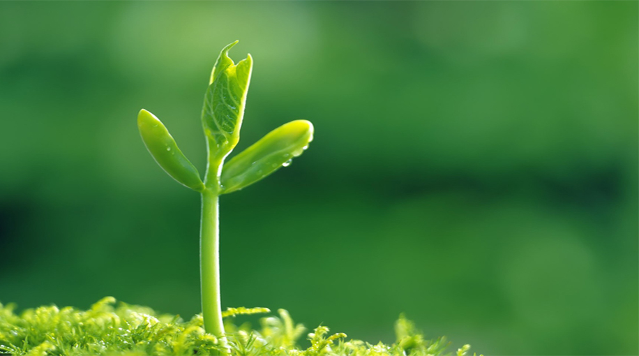 氰化物中毒是什么原理,氰化物中毒的原理