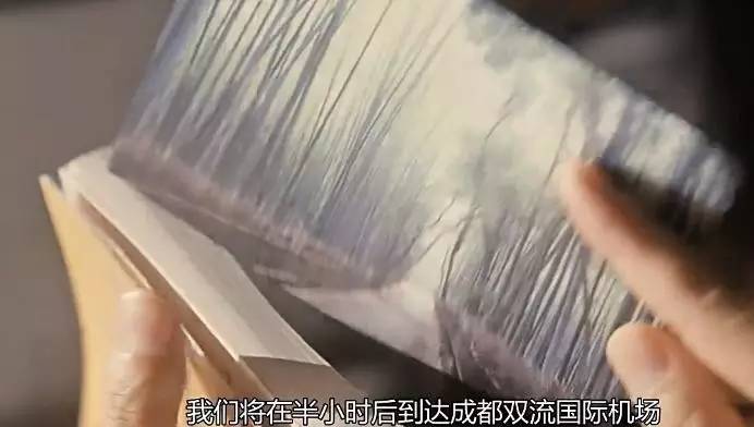 高圆圆郑雨盛甜蜜镜头,高圆圆和韩国明星郑雨盛