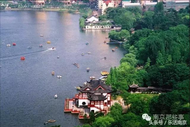 南京踏青赏梅乐享春光,赏梅园