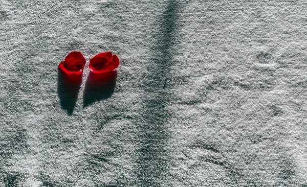 腾冲火山热海一分钟看景区,腾冲火山热海导览全景图