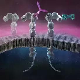 生物类似药上市历程,生物新药和生物类似药